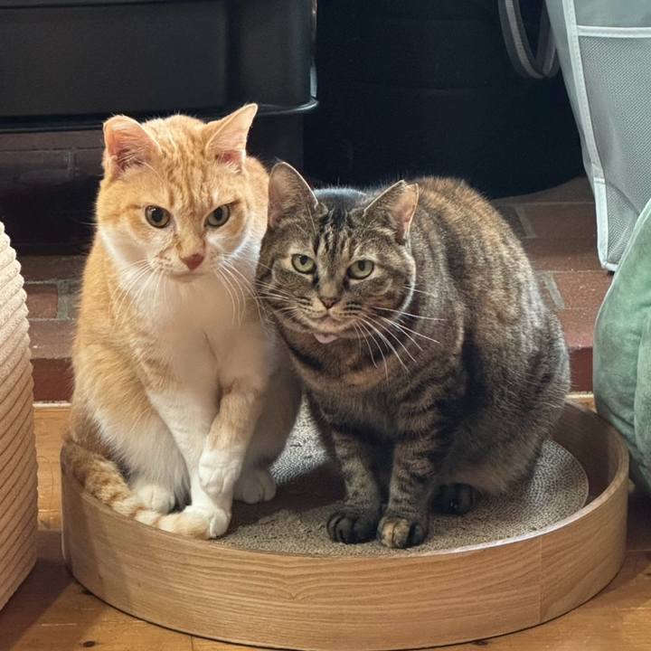 313fbcec fa61 4c16 9125 5e812f3d73d2 1763869711358