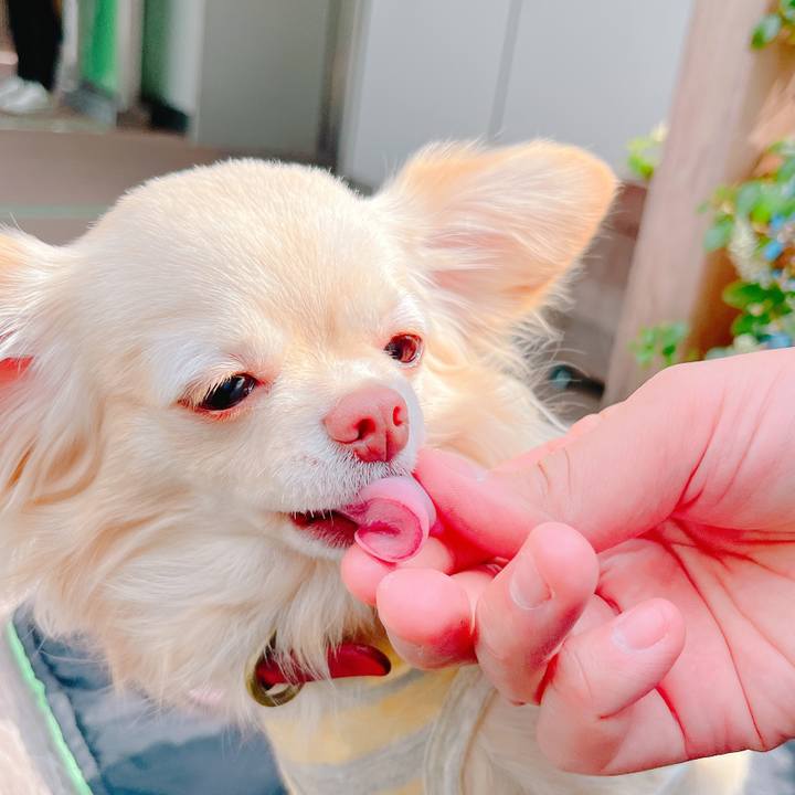 313ff1b2 5e31 4c8c 919c 0e863cbbe2ff 1647861164777