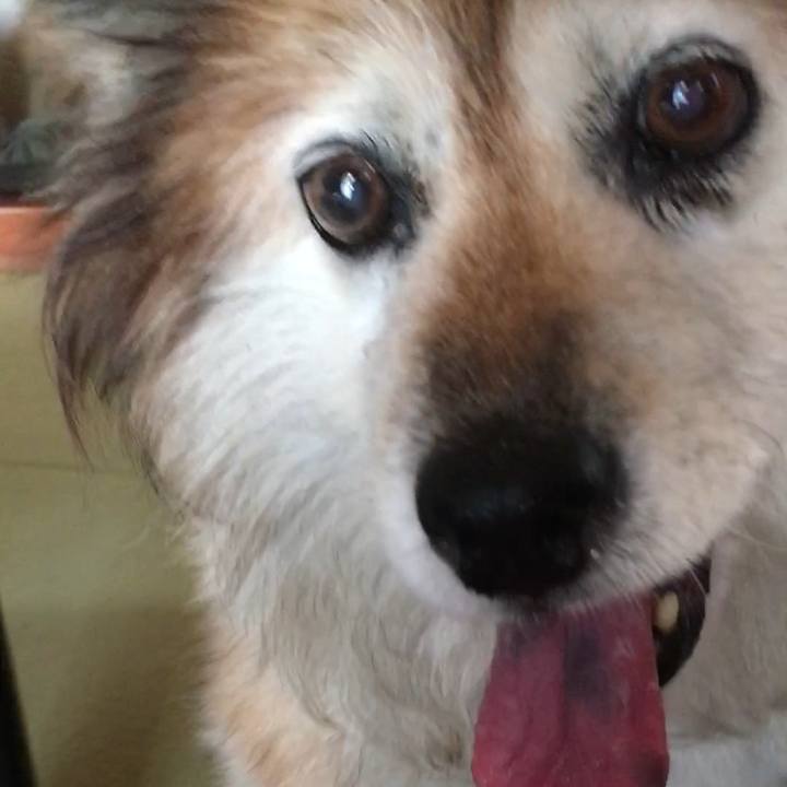 314030fa a648 488d b1e8 05d3fbfb51b5 1597944701518