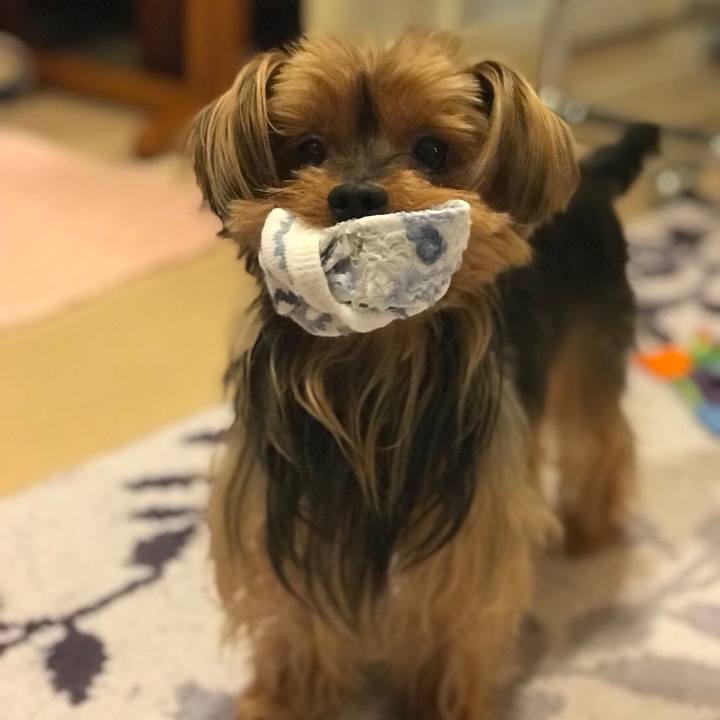 3140369e 392d 499b 9b66 07cd16a206e9 1508841413167