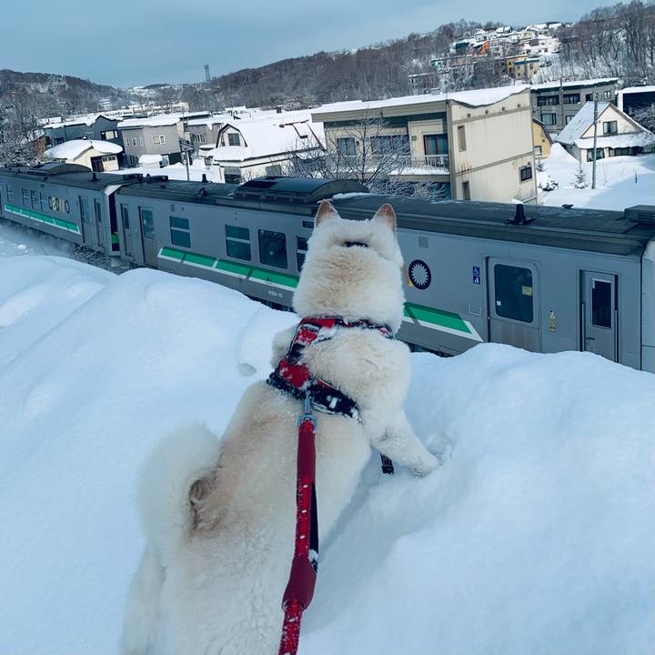 31405020 33dc 4765 a499 0e56937a4efc 1642293844530