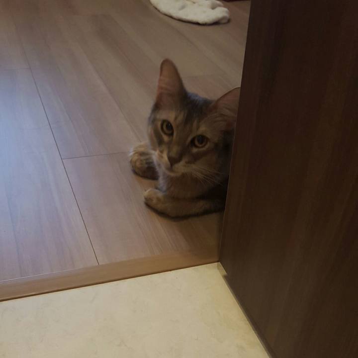 31408754 1aff 44ad a3dc b766e87c17af 1531864641068