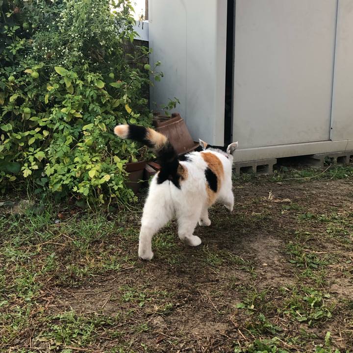 314090d0 f4e2 4010 9a2f 39faf0083ab7 1605306347665