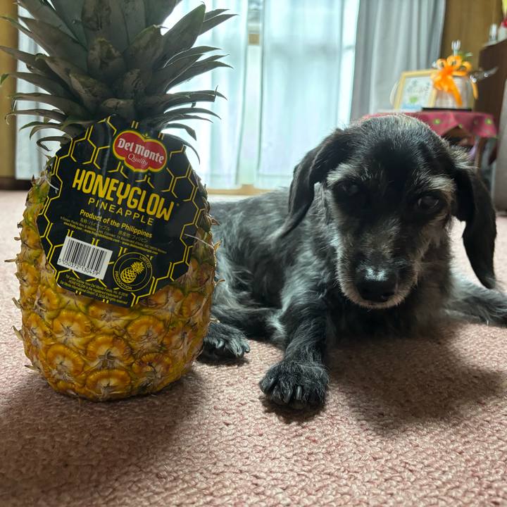 3140cc07 22da 424f b581 7ba1c6187815 1760311126749