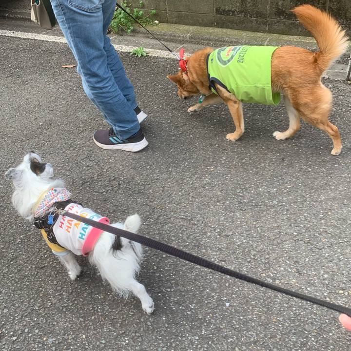 31414c4d 8ba3 4bcf 959a c2b9e4af81fb 1743983989162