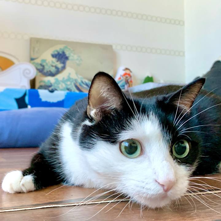 314182ef 8e6c 4852 9967 5cecb7d69026 1628804142527