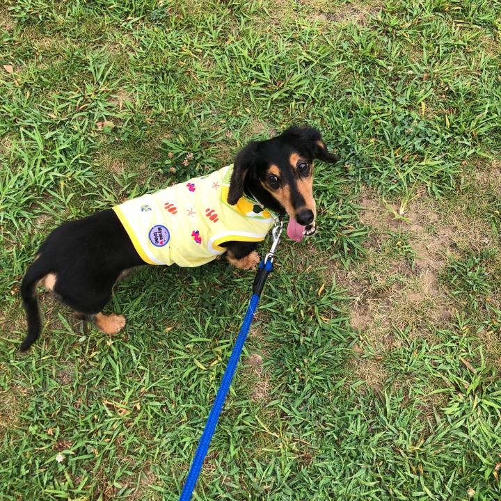 31418386 e2be 4940 9c91 3ba504deb4d0 1534809403316