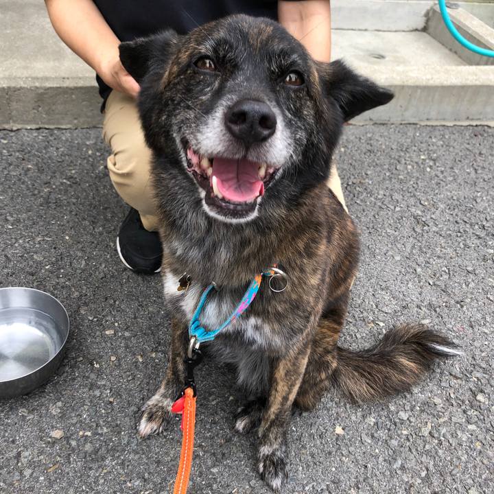 3141962a b14a 49a1 af62 54e299054f17 1563962429841