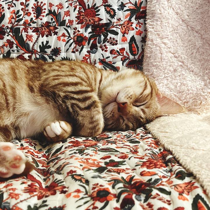 3141996f 717e 4b88 b0de 6675f68ab3d6 1663934158775