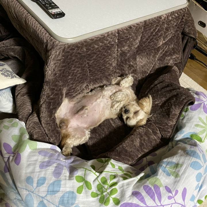 3141b27c 2215 4375 968d 21a8168faec1 1605483624344