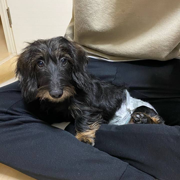 3142071b eb39 4a91 8b18 dfa8cbabaf0d 1586277063844