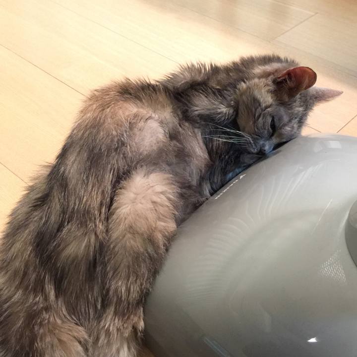 31420c86 9568 4479 b850 0a9c46cc9c84 1513337222731