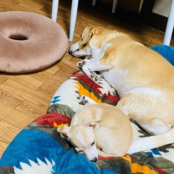 31420ccb 42b1 4db3 96b8 6500cbe7a0c7 1663048568952