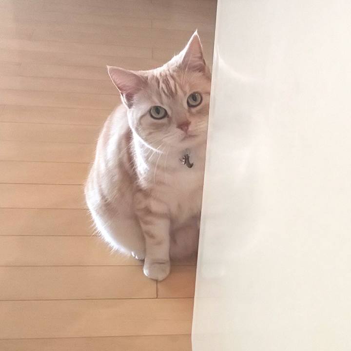 3142a12e 6c7b 46fe b10a 21dcf0b4ecf9 1552265245910