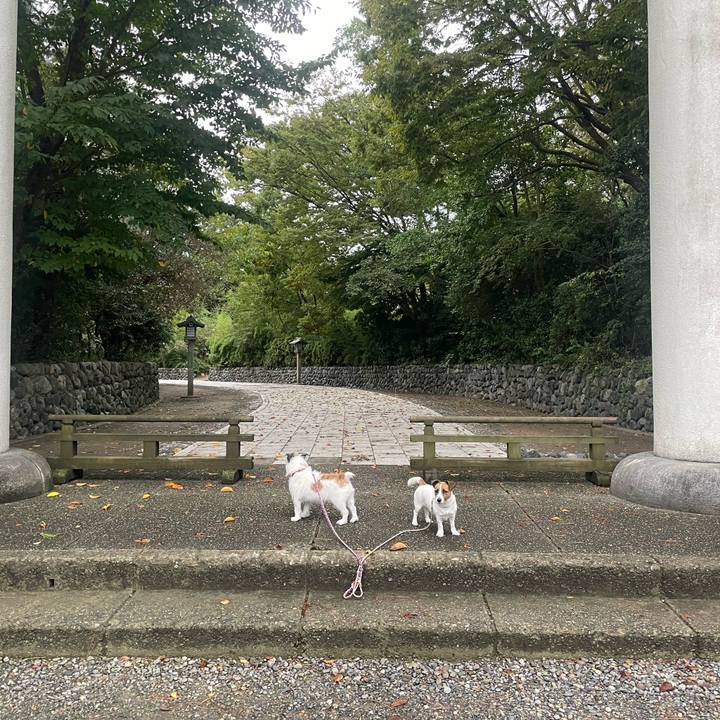 3142d94a 7efd 413f a1bc 2739f9dc7b66 1728426987366