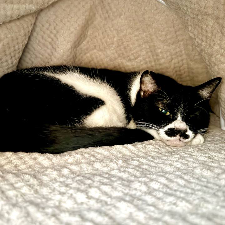 3142efd9 1ab8 421b 87d1 3002de8d9a32 1743464739562