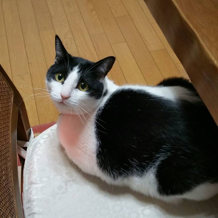 3142f190 0a86 48d4 9a69 690a777569e5 1518995075008