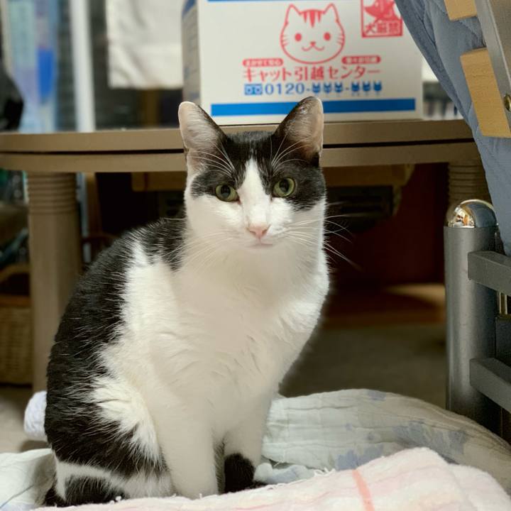 31433062 c9c9 441f bf4c ce0ddafd4a4d 1538616263338