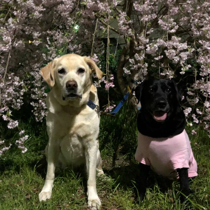 31434ff4 2bd1 45a5 808e 5278af66302a 1522928782227