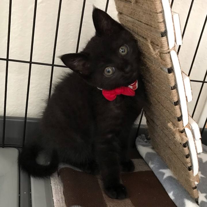 31435e80 88b5 421c a8c9 5f771c7b10ef 1659586238133