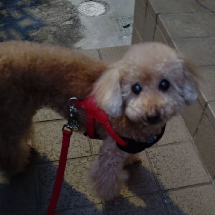 31438d7d 17f9 44f1 868e 2bc062d9a6ef 1651917203322