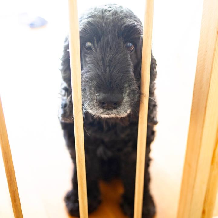 31439894 017c 48e5 8522 0b09fd2c3a54 1591087208847