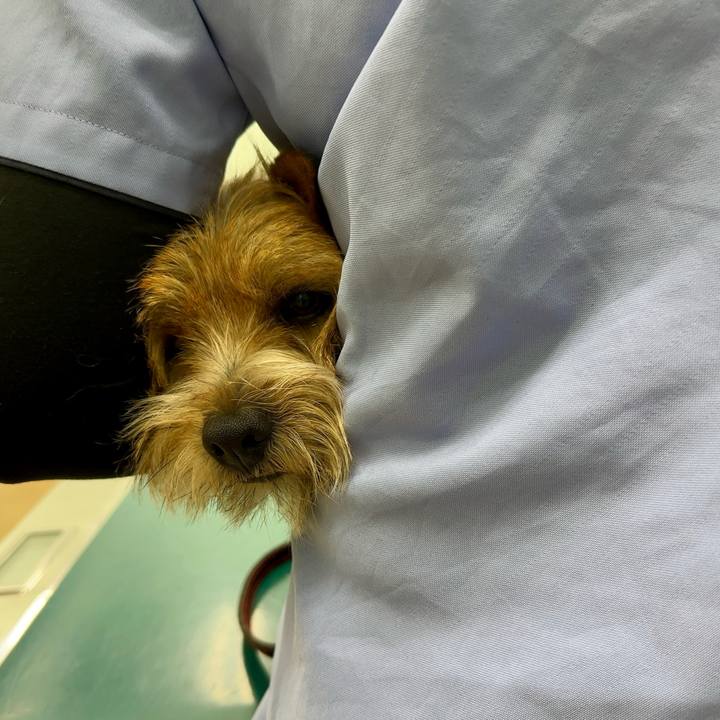 3143c80b c6df 4d7a 9d6d a109c11bf5e8 1745833936549