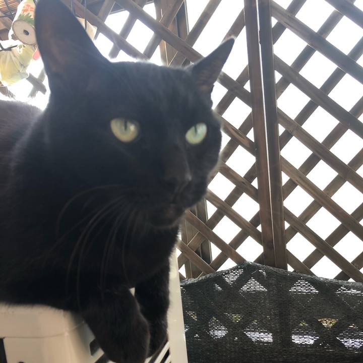 3143f417 9bac 483c b838 e1b3aab9af13 1604820192755