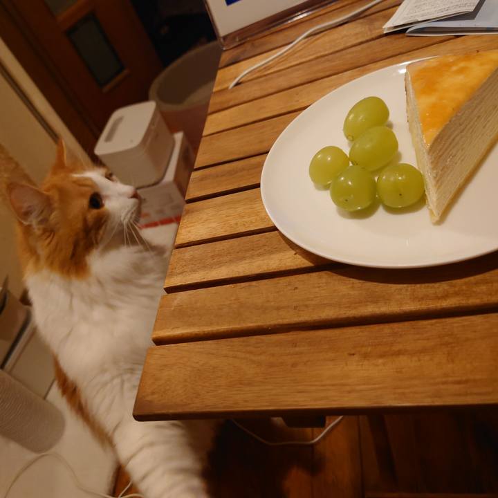 3143fcd9 5f87 42cc 8204 59f15e004e3d 1637554216119