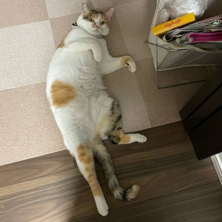 31440820 e361 483d 9413 baca377cf8cb 1663249975998