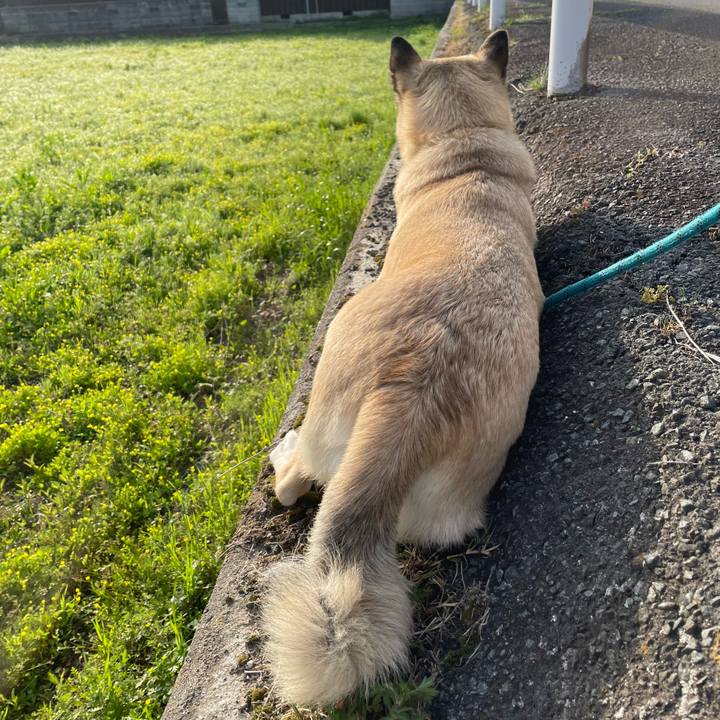 31443499 e8e7 42b4 9604 3bc5a9e002c0 1681993305139