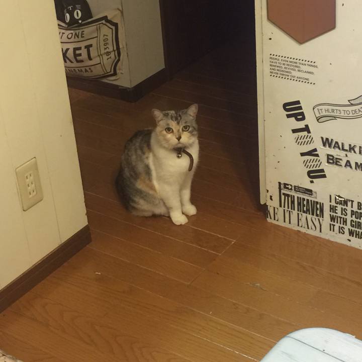 31443515 1537 4f45 b233 90d755b5d645 1559389667949