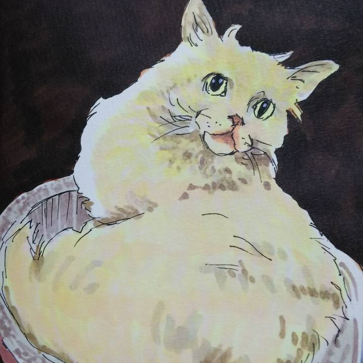 314470af c11b 4e05 b2f4 07d84ebcda69 1538824304725