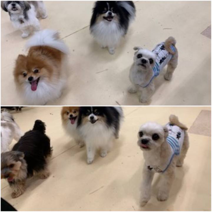 31447d9a 5962 410c a77a 4d7f7f74fc19 1562923533488