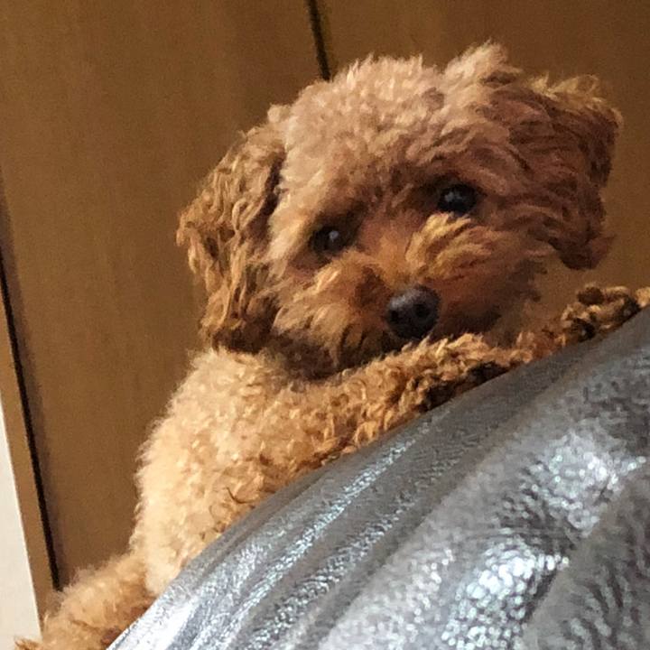 314489c0 51f2 4042 b40d 3b7a8dc35ab1 1541925736124