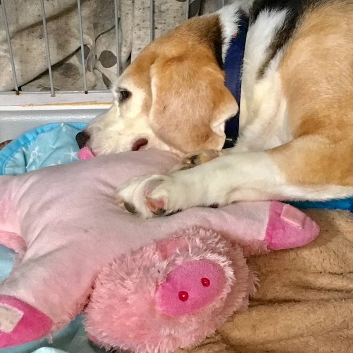 314500ca eef9 47b7 ba1b 52081c78c4d5 1562214602273