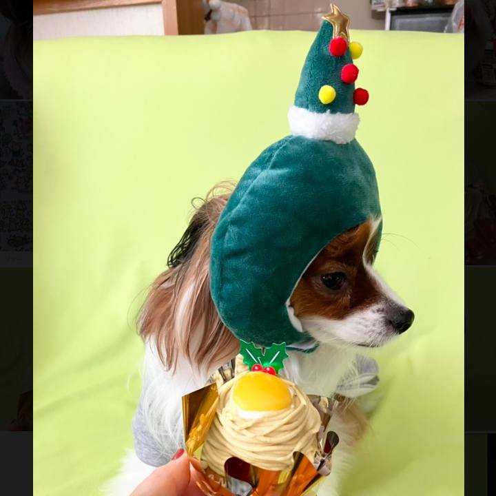 31453f21 915b 4e98 a147 710dac2e189a 1735119324406