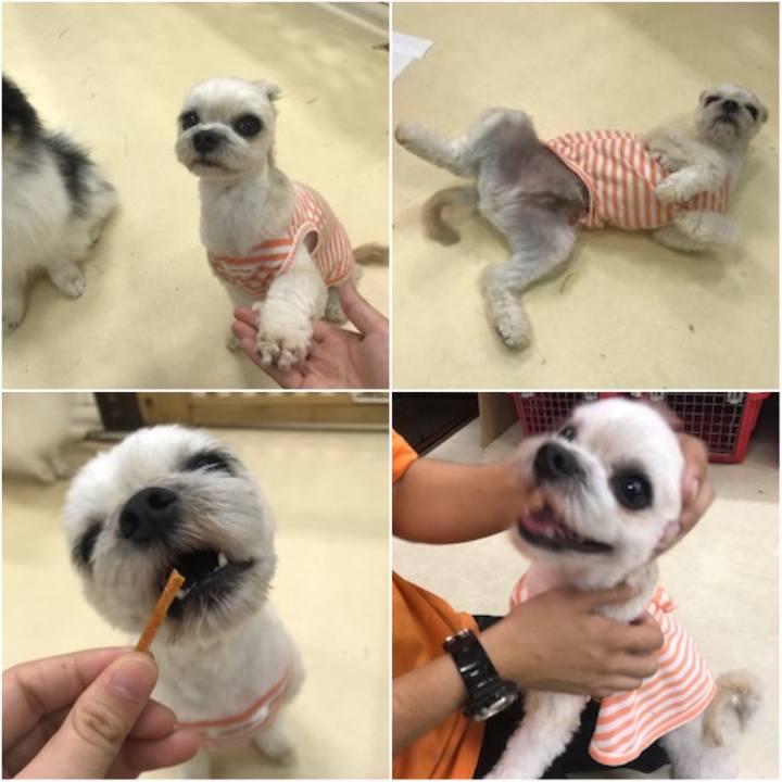 31459ba6 e2d3 4883 b7f4 11a8b27b2e12 1531218278928