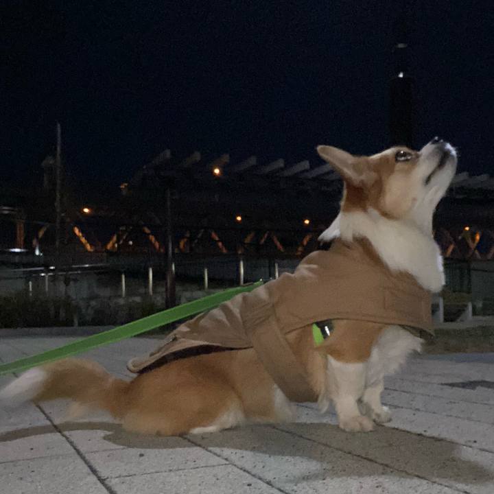 31459eb0 7545 4c76 bc6e 9ec5ef6adf3b 1640521199337