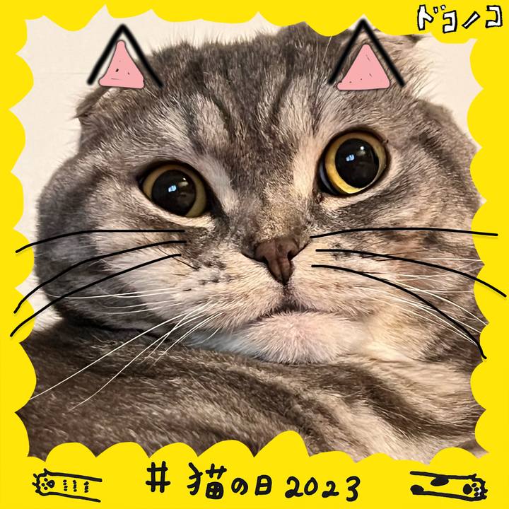 3145a58d 140d 47fb b132 b70c54d163bb 1677066828486