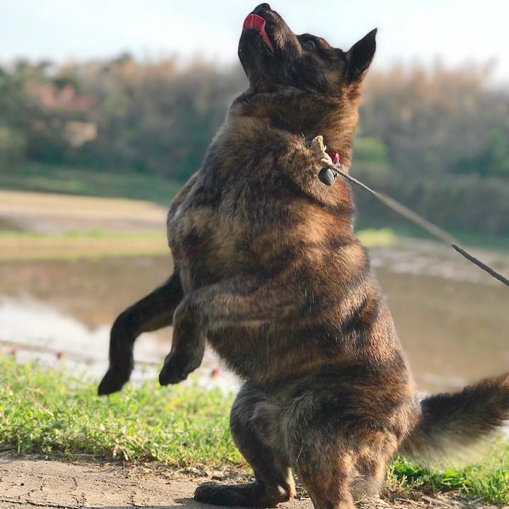 3145cbc3 ac23 433b a110 567feb500465 1524352487254