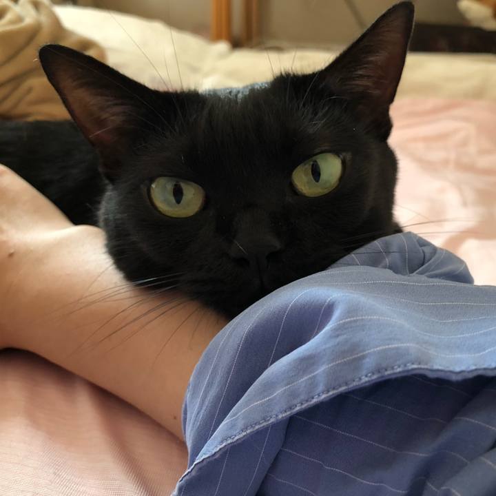 3145e4b4 990e 40a6 9250 a3627d955320 1564543973680