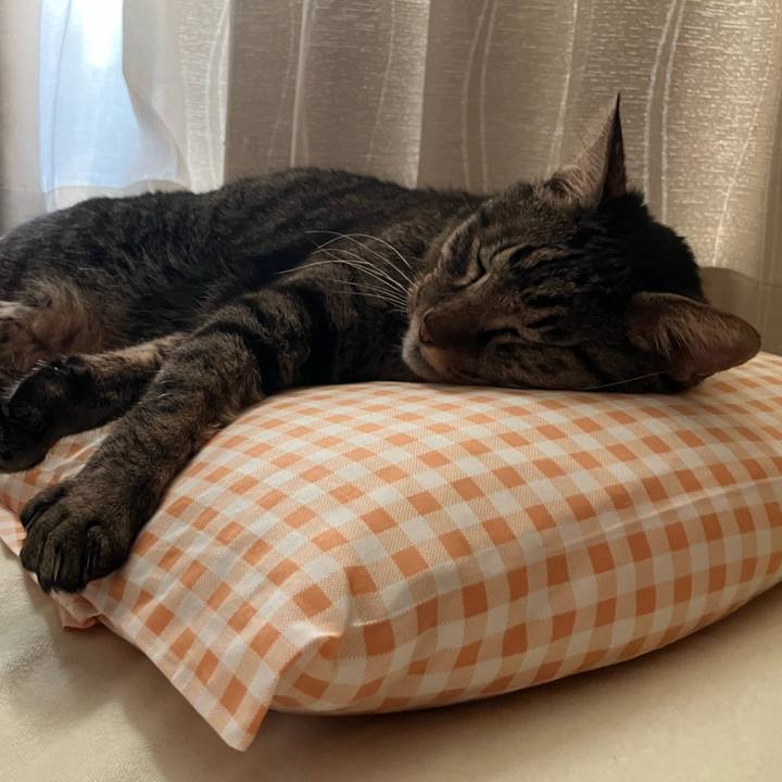 314603f2 d3b6 4137 8b84 226226ed4a47 1758749621442