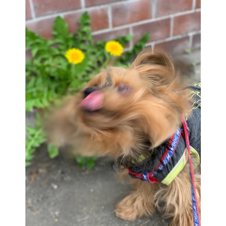 31461bba f229 4a6b 8561 a67dc31f72b7 1552775765772