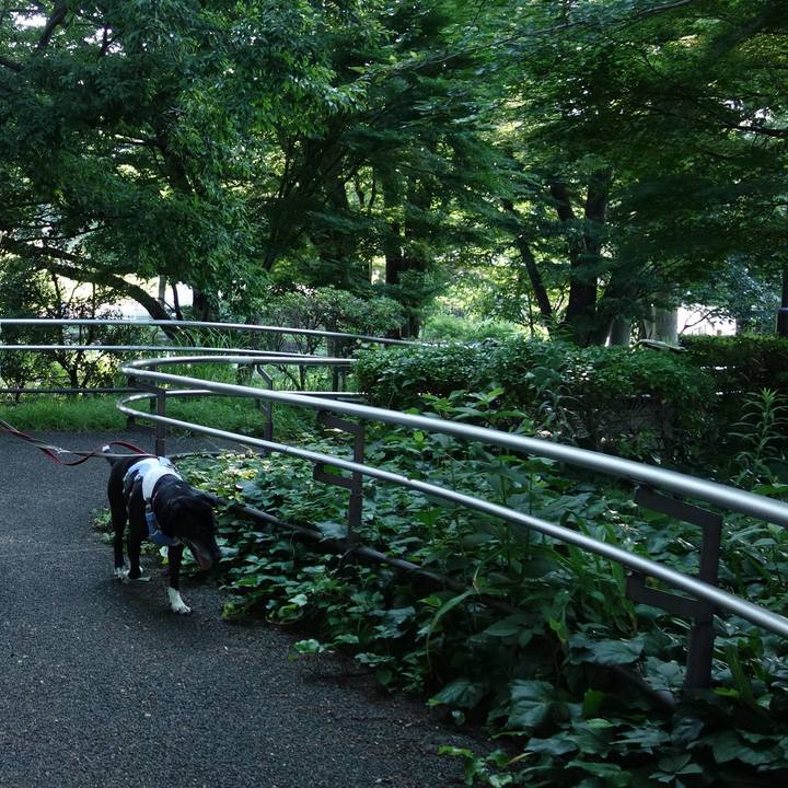 314633da e66a 4534 af8d e85c5e6225ee 1751156359497