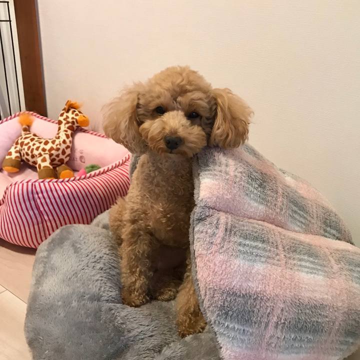 314642e1 3b64 40d4 b0a5 afba060f1aa3 1545287800094