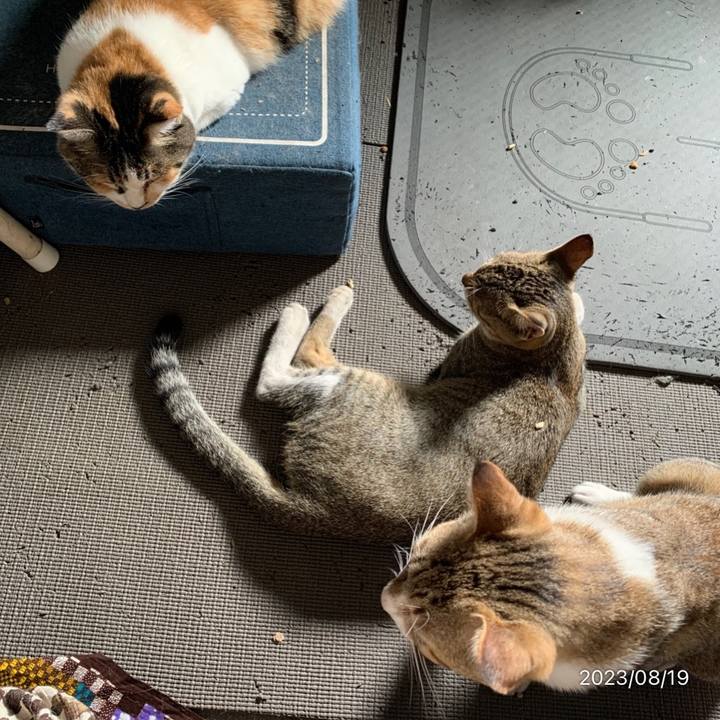 3146539b 4493 47eb 907e 9c62453cca34 1692397265747