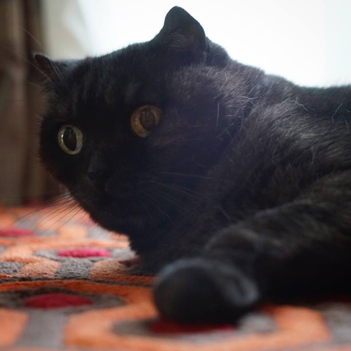 31469850 5281 4ff7 aef1 f1e6dc48e391 1562222445074