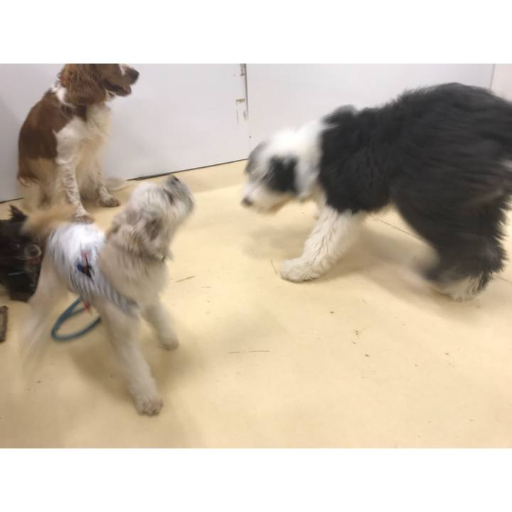 3146b594 48a2 4319 8ab7 5b8b04592c2c 1569503151549