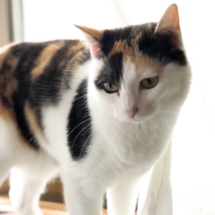 3146cde1 7756 46a8 9107 8d2c9c9cc013 1527559937092